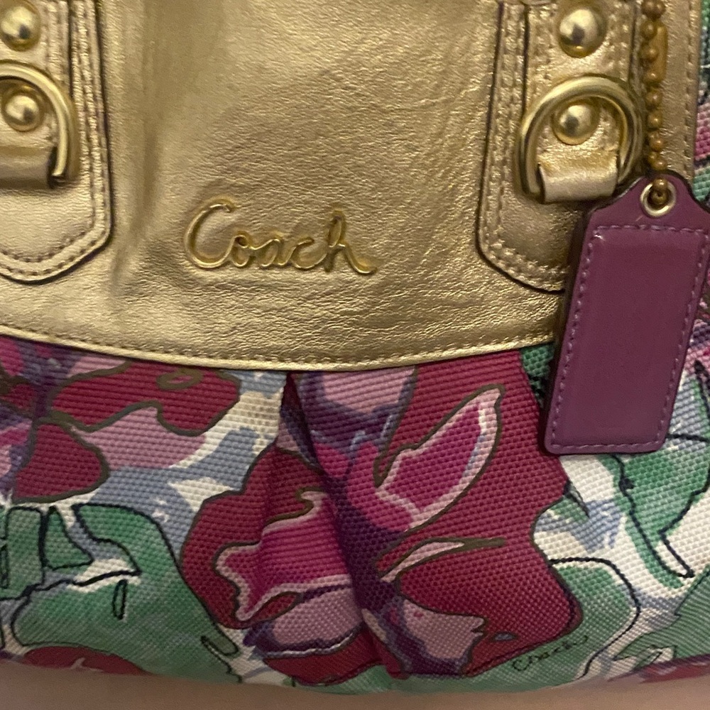 Coach limited edition Ashley Iris Floral  Hobo Floral Satchel Gold Trim f16259 - Picture 2 of 11